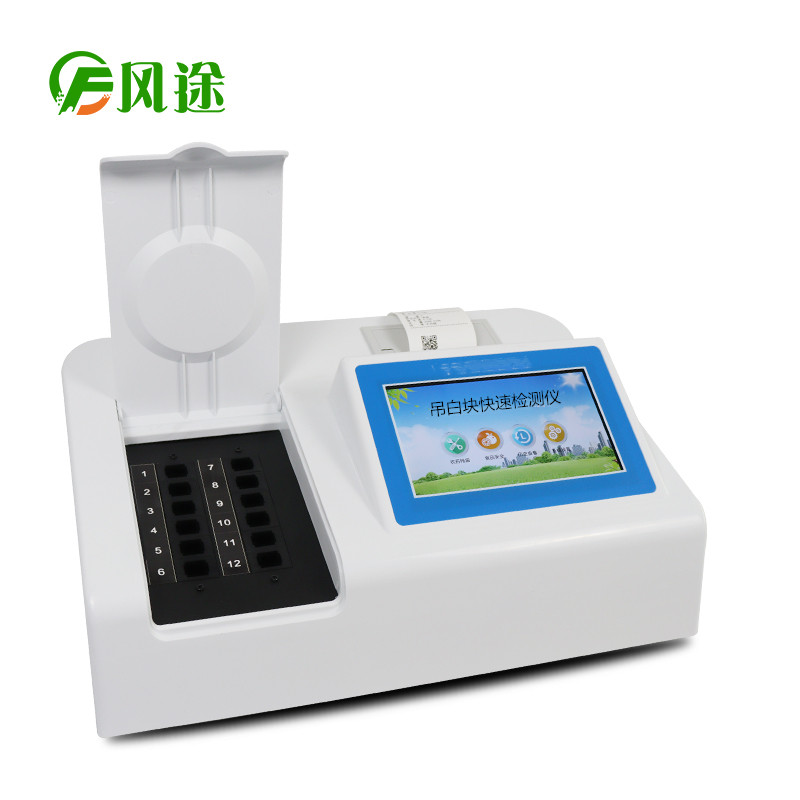 吊白塊快速檢測(cè)儀FT-DBK
